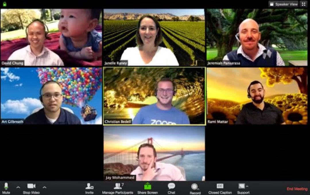 最新的Zoom动物马,最新的Zoom动物马，探索虚拟世界的新伙伴