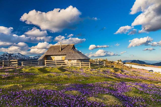 售前咨询 第329页