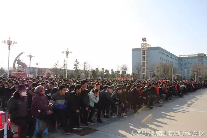 3d最新开机号,探索最新3D开机号的世界,奥秘与机遇并存