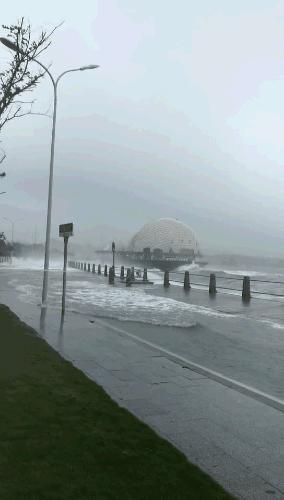 台风路径最新,台风路径最新动态分析报告