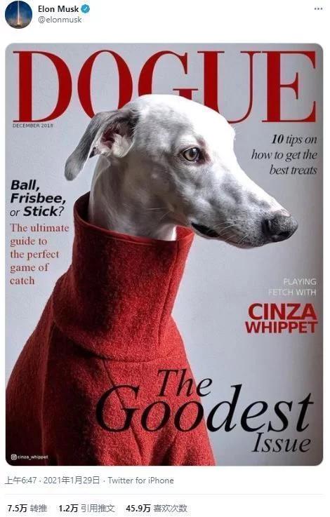 派币今天最新官方消息真实,派币今天最新官方消息真实解析