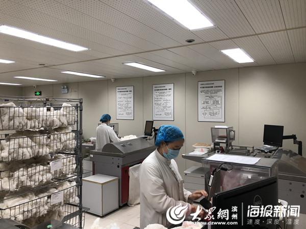 棉花期货最新实时行情,棉花期货最新实时行情分析