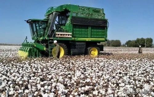 棉花期货最新实时行情,棉花期货最新实时行情分析