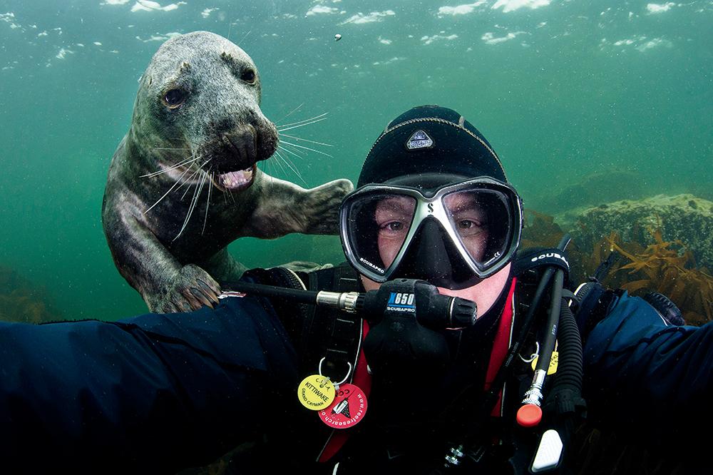 最近最新电影大全免费,最近最新电影大全免费——探索电影的奇妙世界