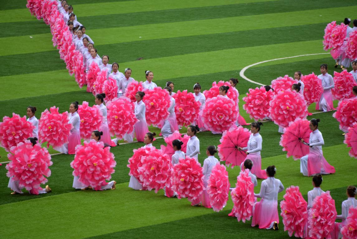 最新中文字幕,最新中文字幕的魅力与应用