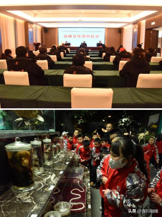 火箭队最新消息,火箭队最新消息,蓄势待发,展现新篇章