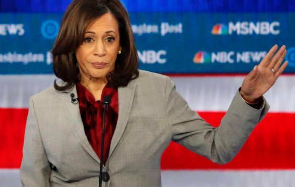 美国总统大选最新消息,美国总统大选最新消息全面解析