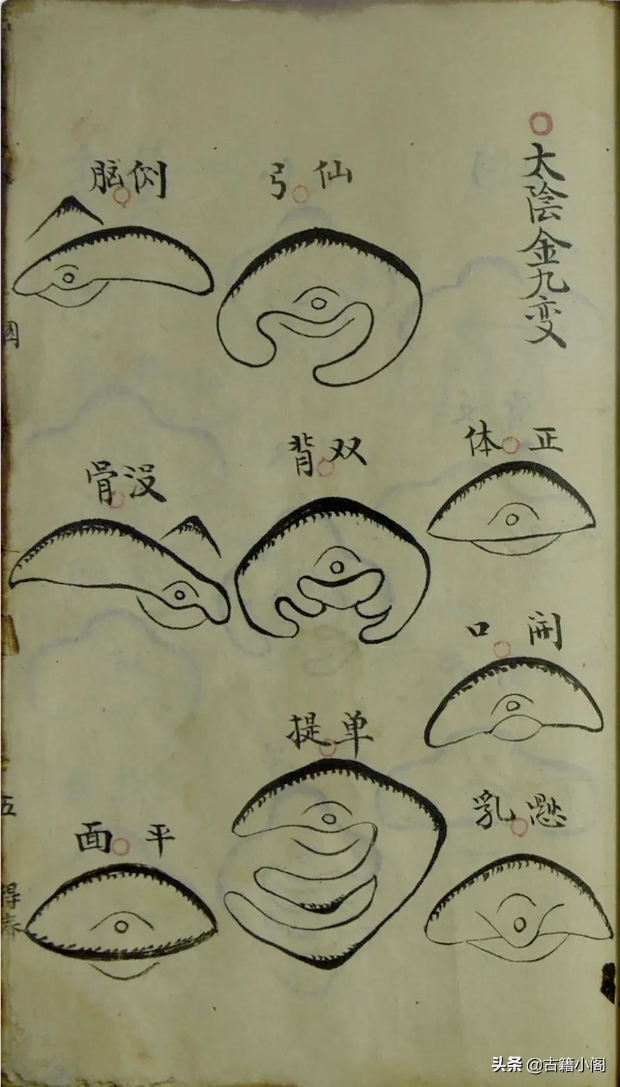 九星霸体诀最新更新,九星霸体诀最新更新,修炼之路的新篇章