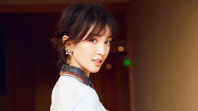 杨紫最新消息,杨紫最新消息，闪耀的明星，持续引领潮流