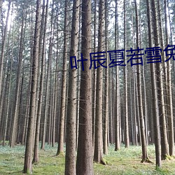 叶辰孙怡夏若雪最新章节,叶辰与孙怡夏若雪的最新章节,命运的交织与情感的升华