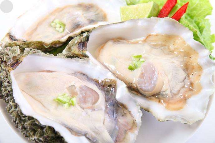 生蚝怎么保存最新鲜,生蚝怎么保存最新鲜——从源头到餐桌的全方位指南