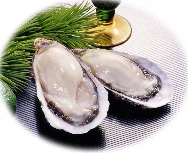 生蚝怎么保存最新鲜,生蚝怎么保存最新鲜——从源头到餐桌的全方位指南