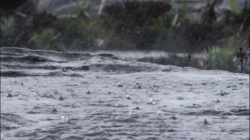 最新台风情况,最新台风情况及其影响分析