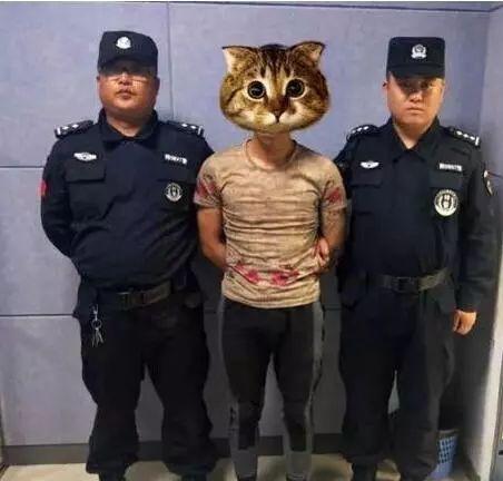 黑恶势力最新认定标准,黑恶势力最新认定标准,深化理解与应用