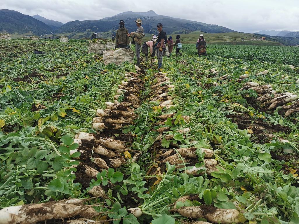 最新电影免费在线观看,最新电影免费在线观看,享受影视娱乐的新时代