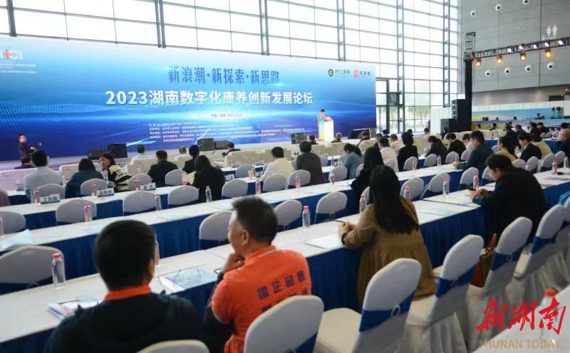 最新网站,最新网站的发展与影响，探索新时代的数字化浪潮