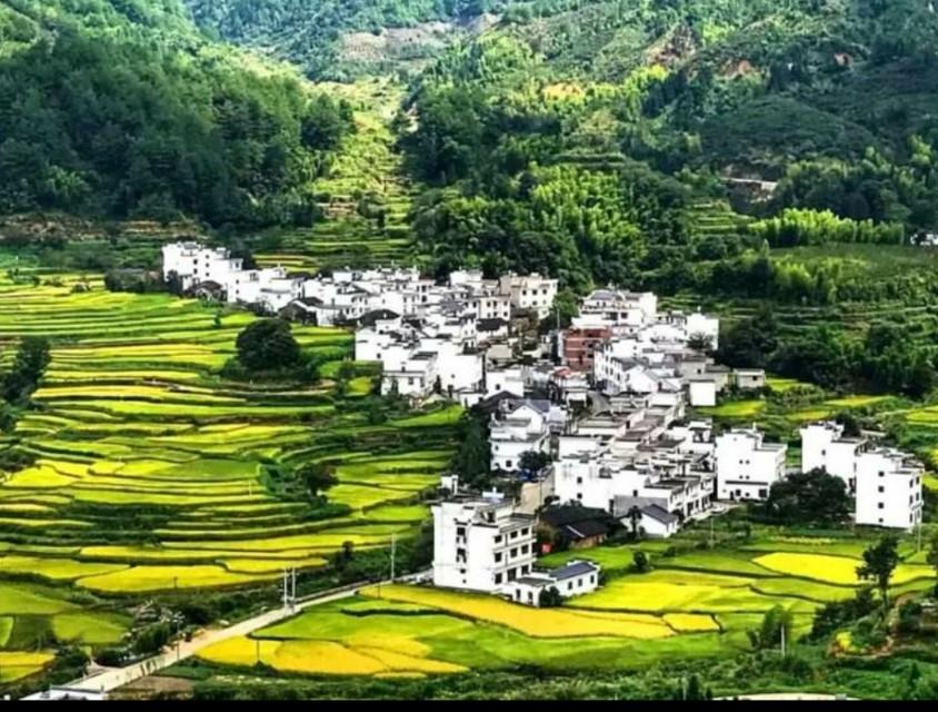 最新影视,最新影视,引领视觉盛宴,探索无限可能