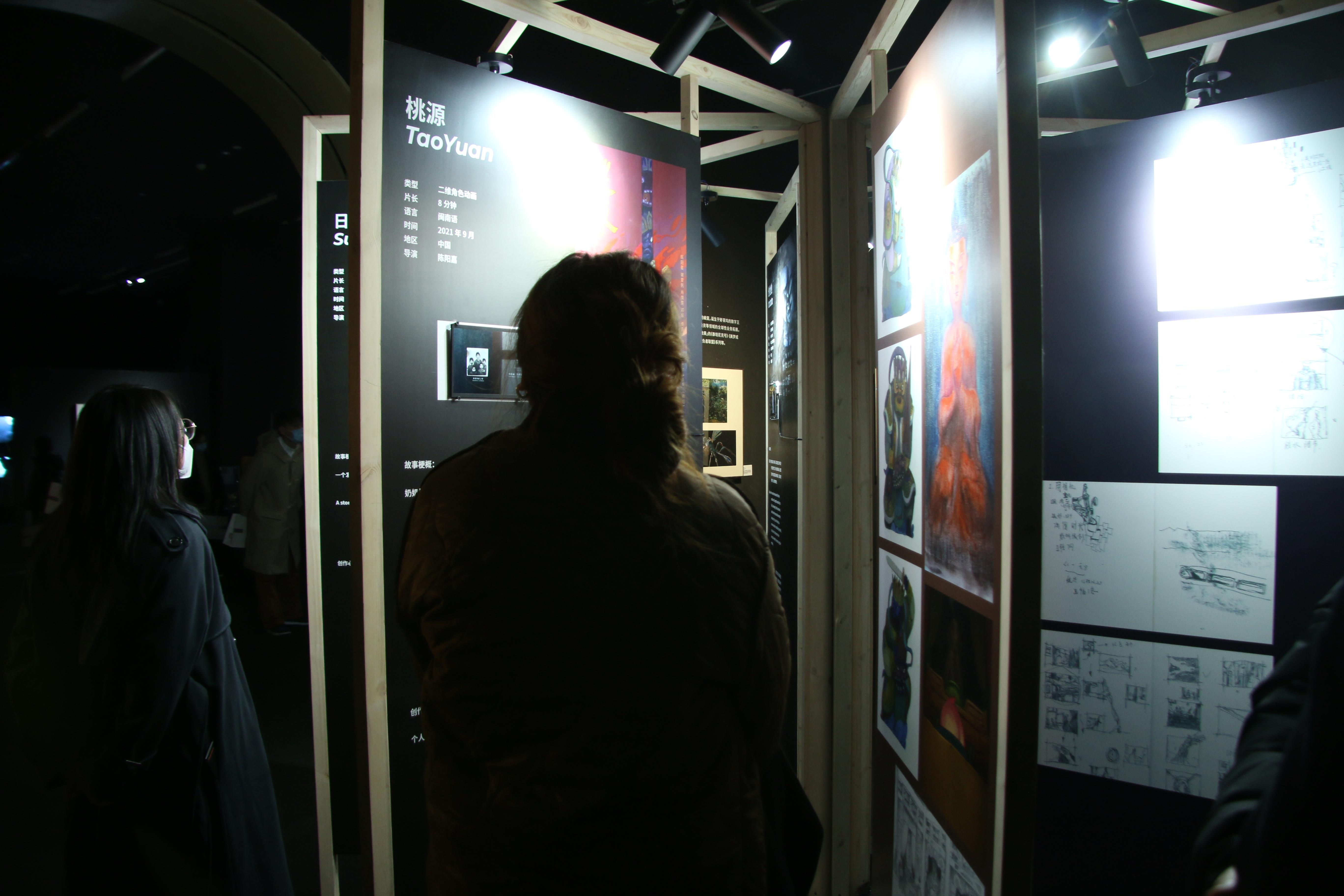 最新好看的电影,最新好看的电影，探索光影世界的魅力