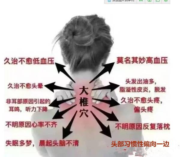 季司寒和舒晚免费阅读最新,季司寒与舒晚,最新免费阅读之旅