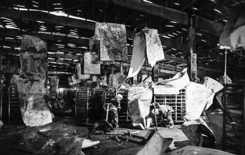 最新版天堂中文在线官网,最新版天堂中文在线官网,探索全新数字娱乐世界