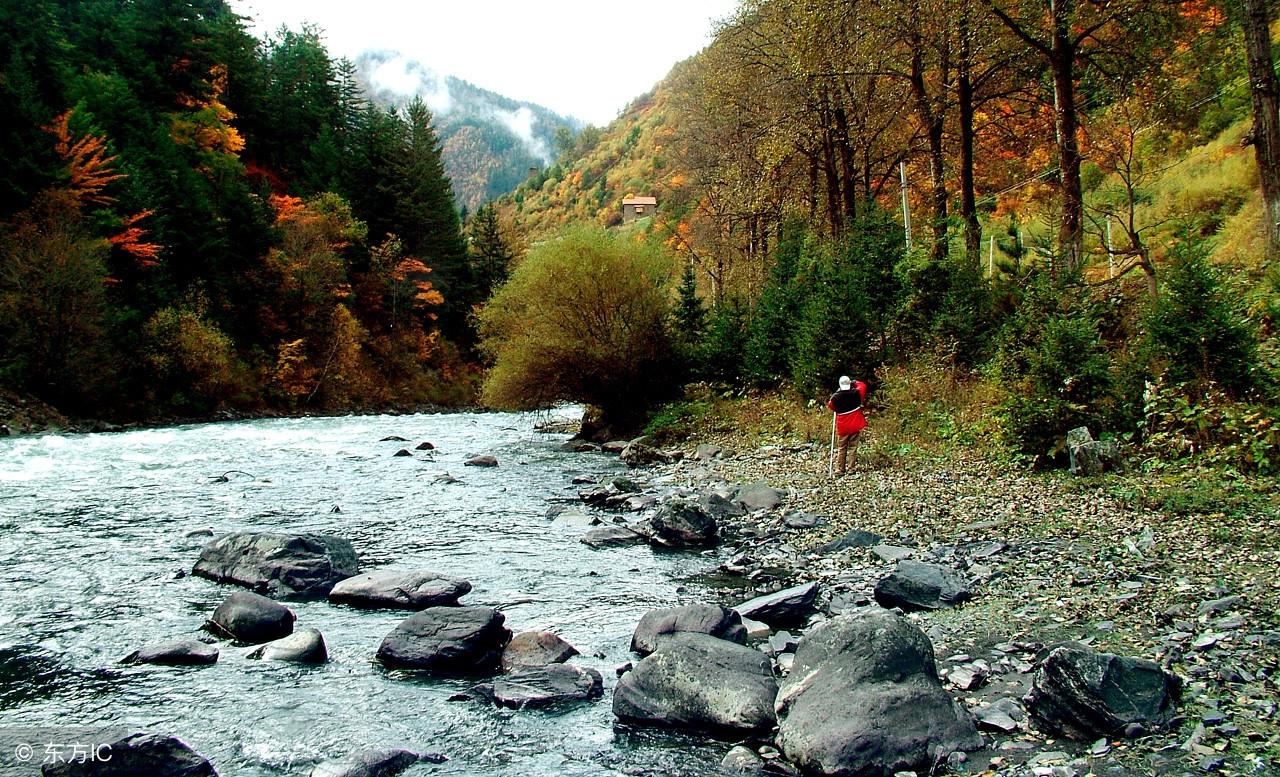 成都地震最新消息刚刚,成都地震最新消息刚刚发布,全面解析与应对举措