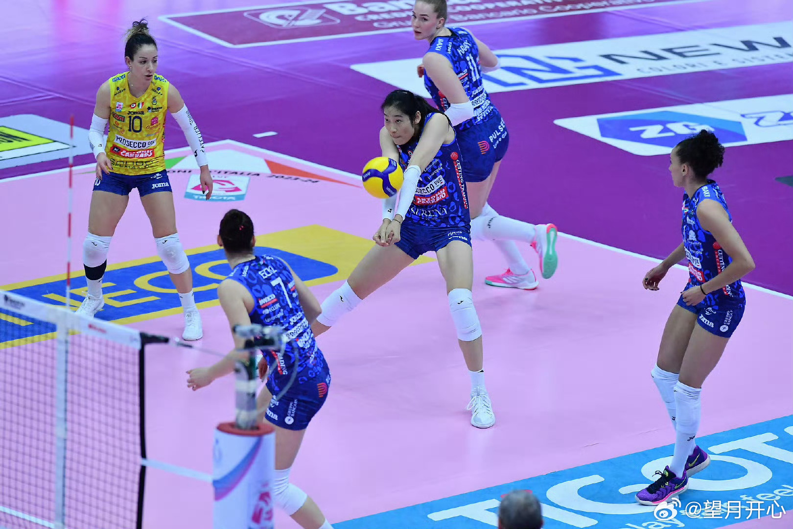 女排最新消息,女排最新消息，强势崛起的新星闪耀国际赛场