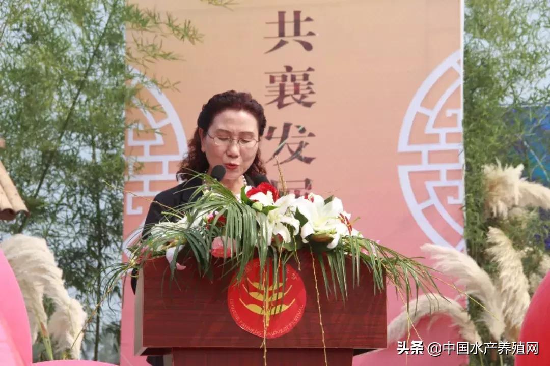 99精品产国品一二三产区:03-09-11-25-30-40E:41,探索中国精品产区,一二三产区与99精品产国品