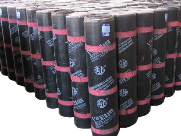 亚洲1区2区3区橡胶防水卷材:03-11-42-43-45-47U:25,亚洲橡胶防水卷材分区详解,一区、二区、三区及特殊卷材代码解析