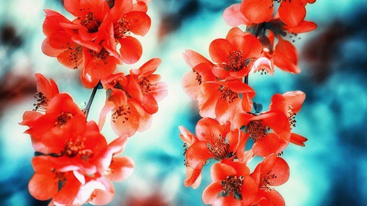 午夜精品一区二区三区在线观看:07-26-28-31-47-49Y:12,午夜精品一区二区三区在线观看,探索影视娱乐的新纪元