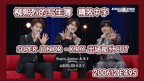 亚洲中文字幕久在线:08-14-18-29-45-48Q:36,亚洲中文字幕久在线,探索字幕的魅力与变迁