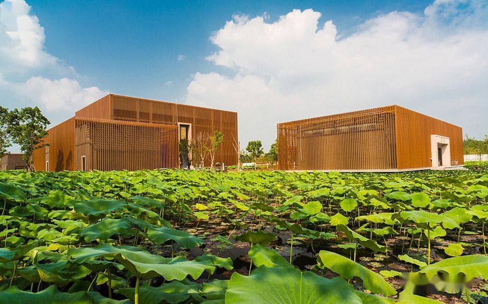 精品少妇AY一区二区三区:21-31-34-38-41-43U:27,探索精品少妇AY一区至四区,深度解析与体验分享