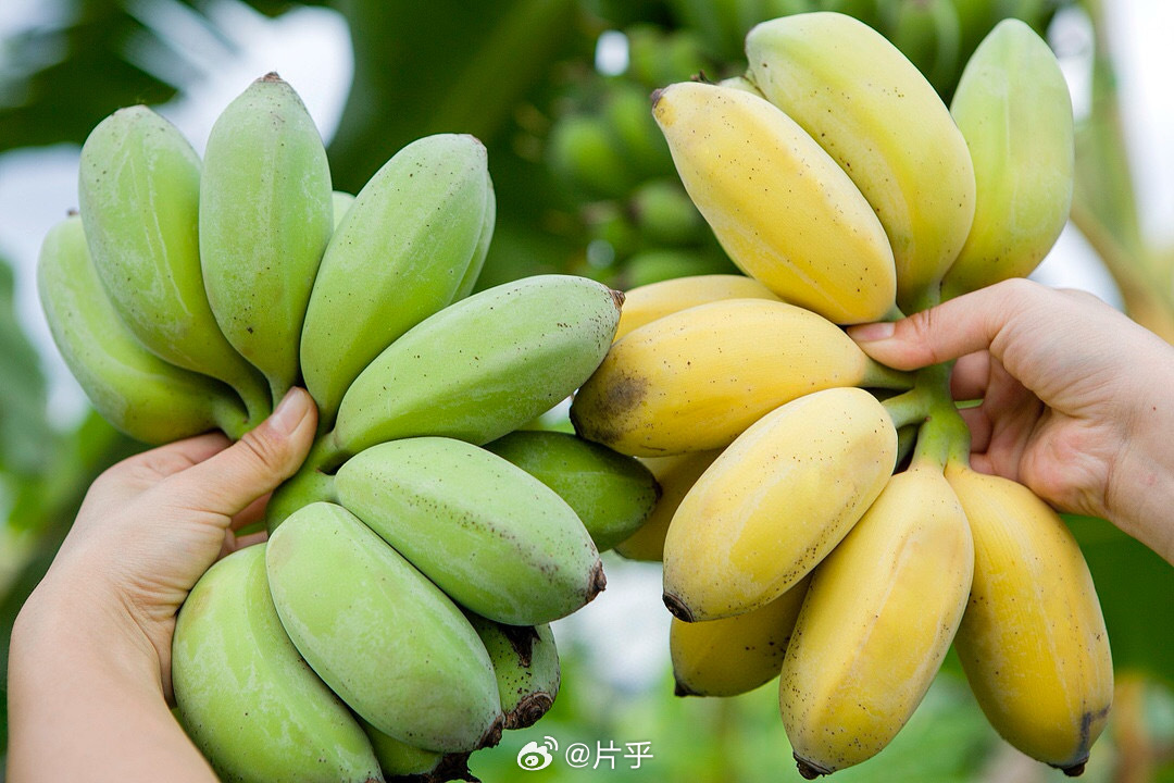 7777精品久久久大香线蕉:03-07-11-26-27-31B:02,探索数字世界的神秘魅力,关于7777精品久久久大香线蕉与特定组合的探索之旅