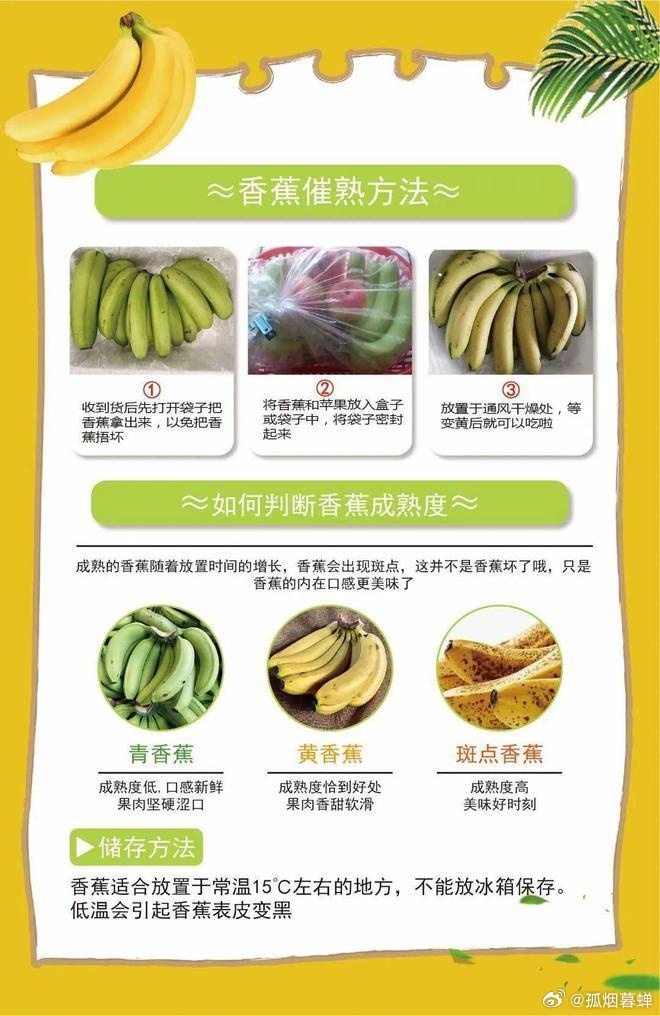 7777精品久久久大香线蕉:03-07-11-26-27-31B:02,探索数字世界的神秘魅力,关于7777精品久久久大香线蕉与特定组合的探索之旅