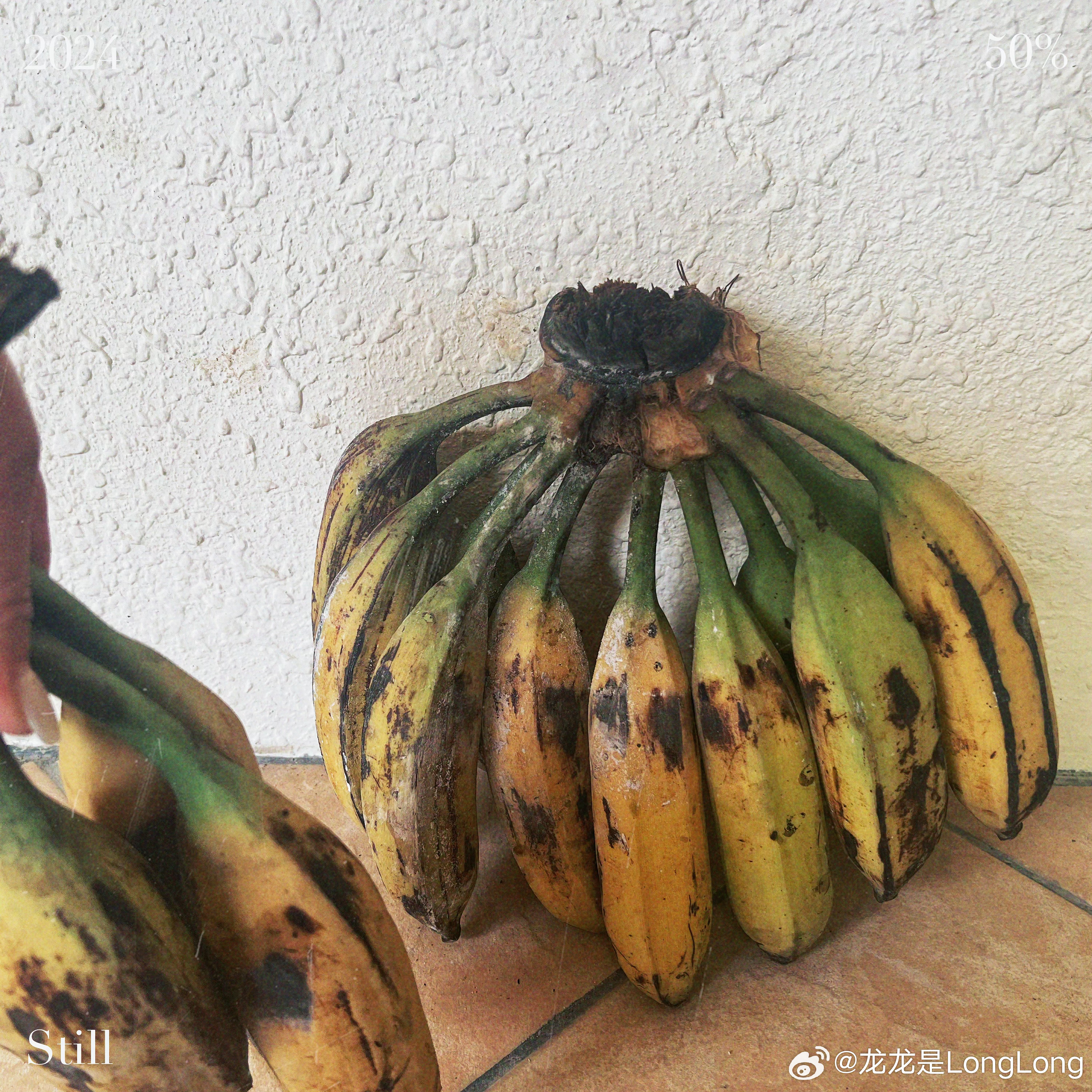 7777精品久久久大香线蕉:03-07-11-26-27-31B:02,探索数字世界的神秘魅力,关于7777精品久久久大香线蕉与特定组合的探索之旅