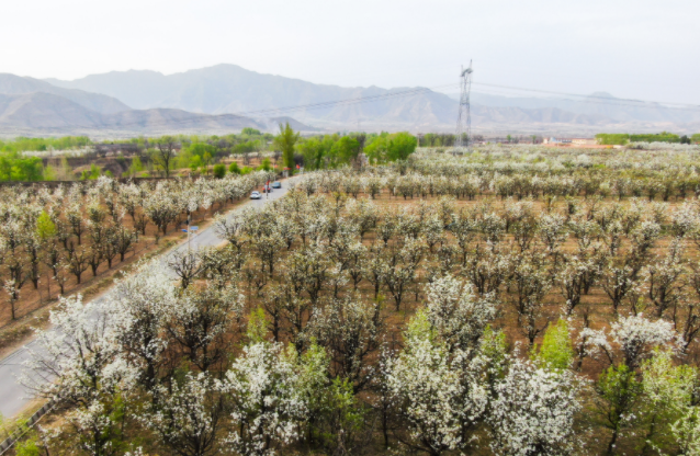 国内揄拍国内精品:15-19-32-37-42-44B:16,国内揄拍国内精品,探索与赏析