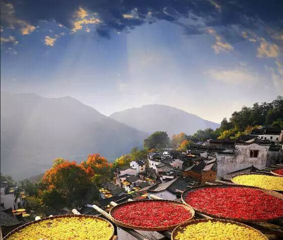 久久99精品久久久久久野外:27-38-42-43-44-46Y:47,久久精品,探索野外世界的无尽魅力与独特体验