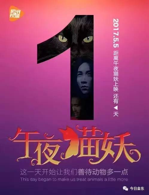 午夜免费视频:03-09-12-22-46-49T:35,午夜免费视频,探索未知世界的神秘之门