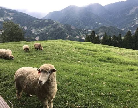 亚洲高清国产AV拍精品青青草原:19-22-29-39-40-42Y:02,青青草原上的高清国产AV精品探索——深度解读亚洲影视文化中的精品之作