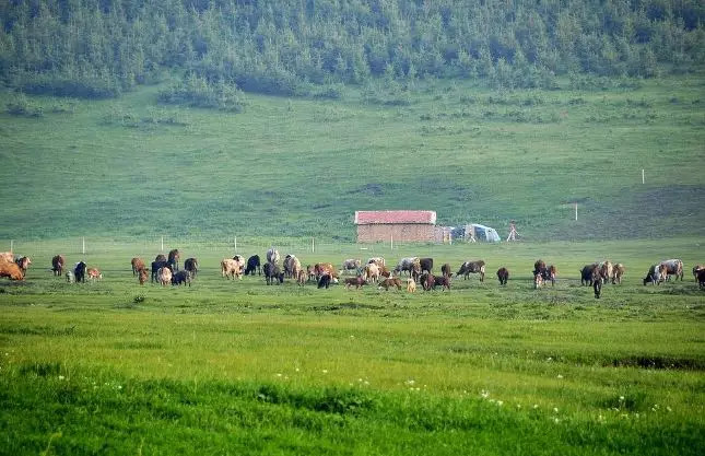 亚洲高清国产AV拍精品青青草原:19-22-29-39-40-42Y:02,青青草原上的高清国产AV精品探索——深度解读亚洲影视文化中的精品之作