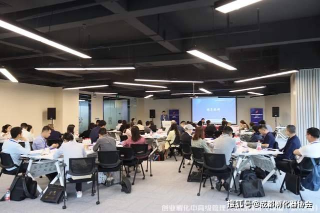 天天干天天日:10-26-29-36-42-47M:11,天天干天天日,探索数字背后的深层含义与人生启示