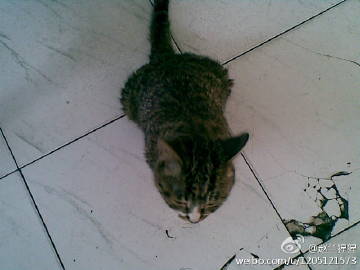 毛多水多www偷窥小便:14-19-21-35-40-43R:45,关于毛多水多www偷窥小便的探讨