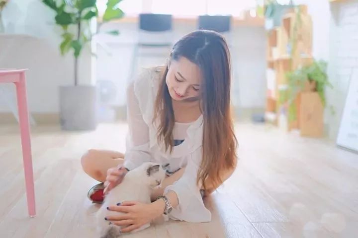 久久久精品人妻一区亚美研究所:08-11-29-38-42-46V:26,久久久精品人妻一区亚美研究所,深度探索与独特视角