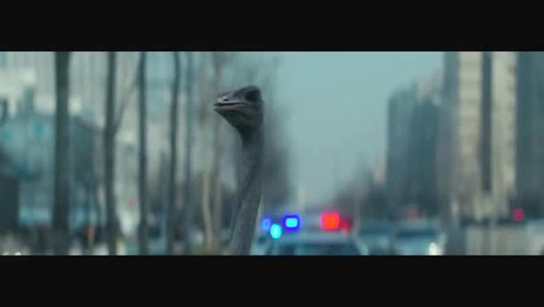 国产在线无码精品电影网:02-15-21-33-39-45A:02,关于国产在线无码精品电影网的探索与解析,一场文化与技术的融合之旅