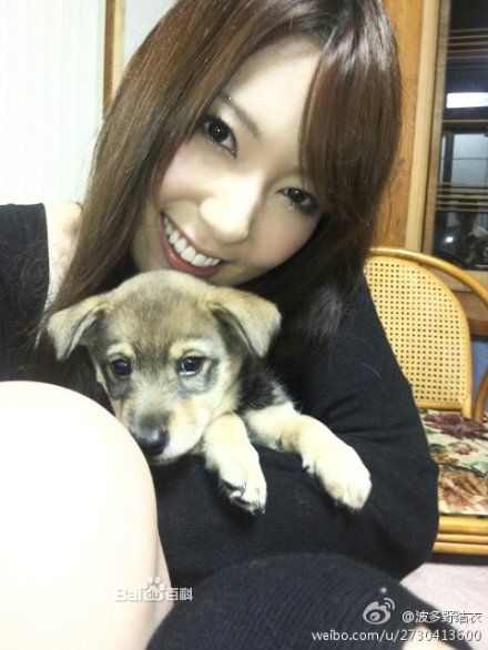 中文字幕无码人妻波多野结衣:09-20-23-45-47-48M:08,探索中文字幕无码人妻波多野结衣的独特魅力