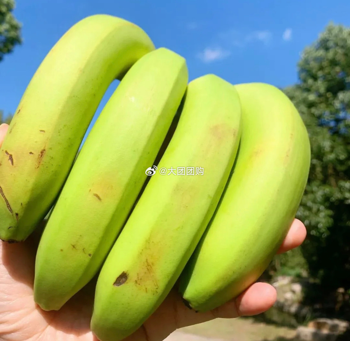 久久婷婷五月综合色国产香蕉:01-10-14-30-37-41M:49,久久婷婷的五月色彩,国产香蕉与数字世界的交织