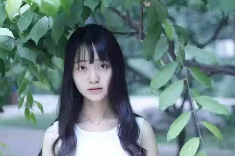 青青草国产免费一二区:13-23-33-39-44-47T:26,青青草国产影视资源,探索一二区免费观看的魅力与体验(13-23-33-39-44-47T,26)