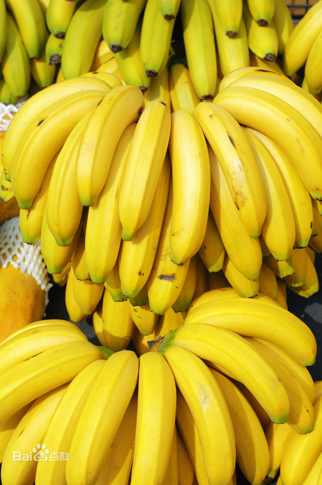 欧美大香线蕉线伊人久久:02-22-36-37-42-49E:32,欧美大香线蕉线伊人久久,探索神秘文化符号下的故事与风情