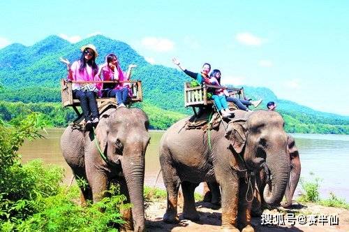 亚洲人成色在线观看:03-10-19-25-29-49P:38,亚洲人成色在线观看,探索数字背后的故事