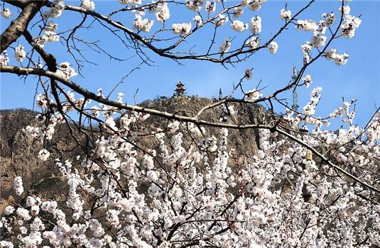 动如脱兔 第7页