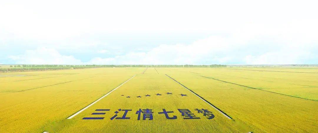 久久99国产乱子伦精品免费:09-15-20-22-36-38G:18,久久99国产乱子伦精品,探索与赏析